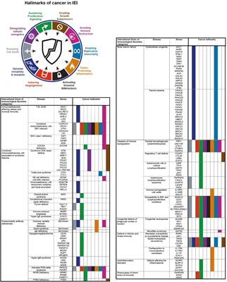 Hallmarks of Cancers: Primary Antibody Deficiency Versus Other Inborn Errors of Immunity